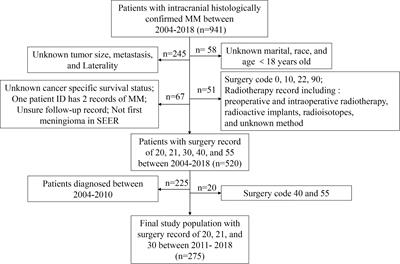 Prognostic Factors and Treatment Strategies for Elderly Patients with Malignant Meningioma: A SEER Population-Based Study